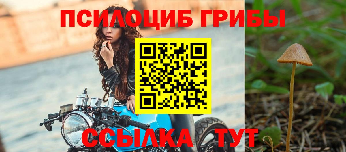 Будённовск  ТГК  Экстази  Меф   КОКАИН  Альфа ПВП СК кристаллы  АМФ кристаллы  Вход с VPN  Гашиш 