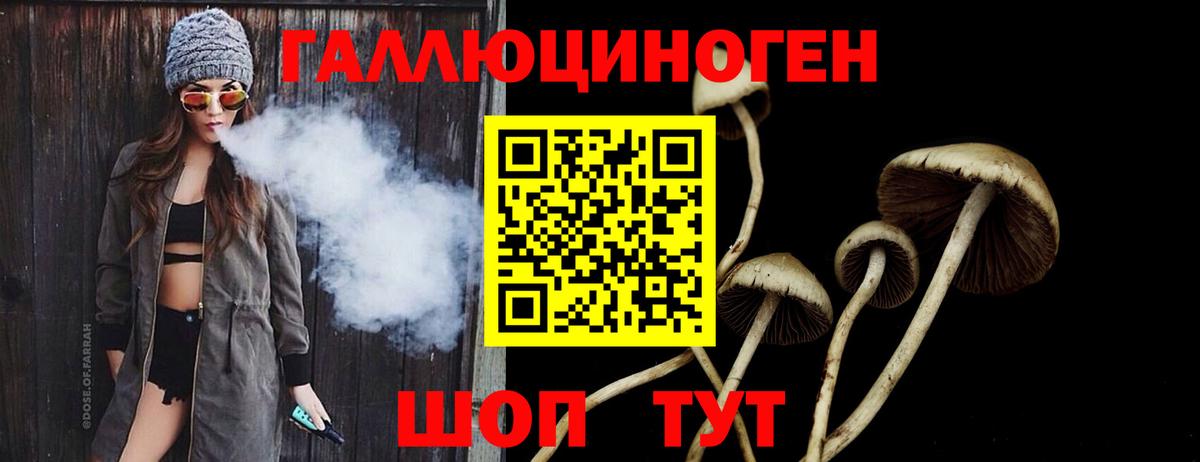 Будённовск  Галлюциногенные грибы MAGIC MUSHROOMS  Вход с VPN 